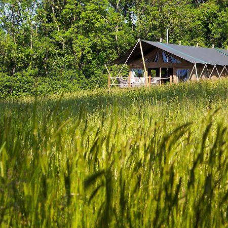 Brocklands Farm Glamping Ξενοδοχείο Πίτερσφιλντ Εξωτερικό φωτογραφία