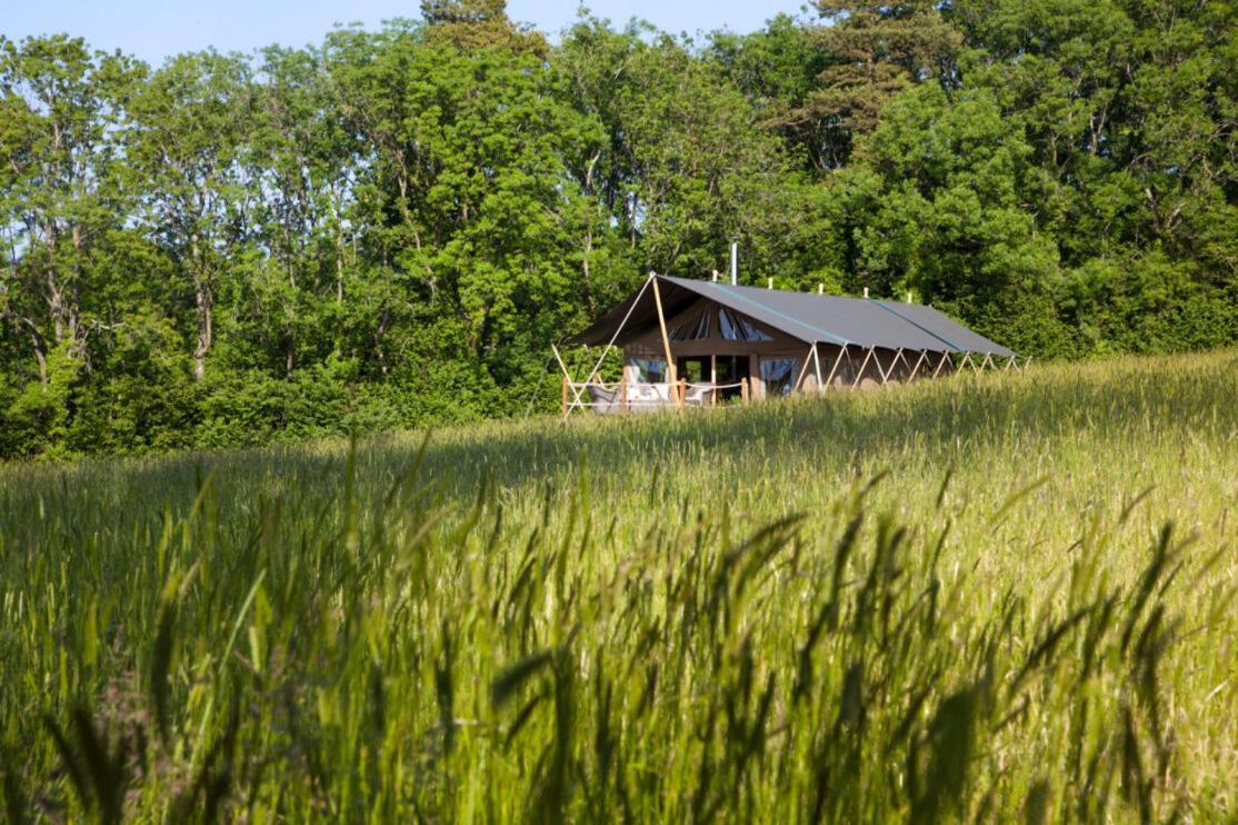 Brocklands Farm Glamping Ξενοδοχείο Πίτερσφιλντ Εξωτερικό φωτογραφία